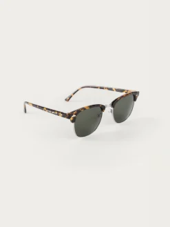 GAFAS MASTER MARRÓN